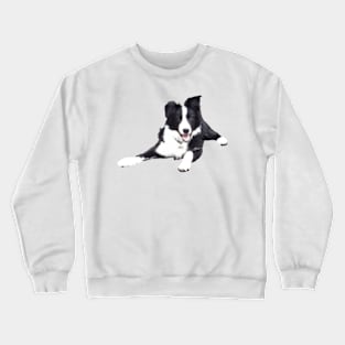 Border Collie on a white background Crewneck Sweatshirt